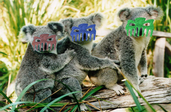 koala three