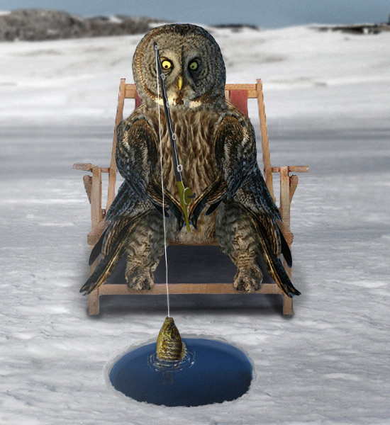 Arctic Fishing Owl