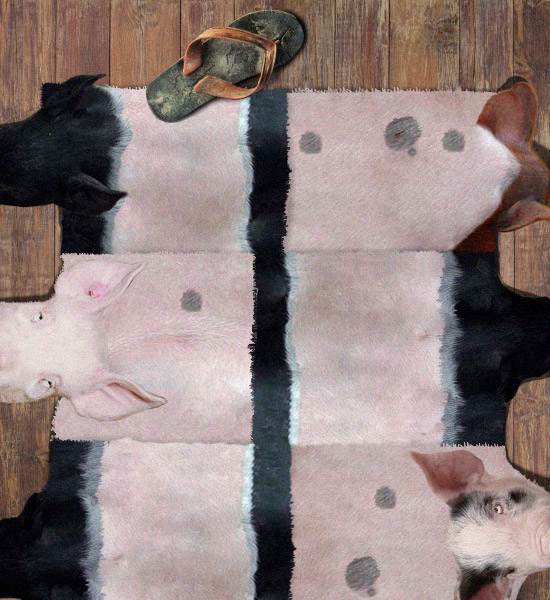 Piglets Carpet