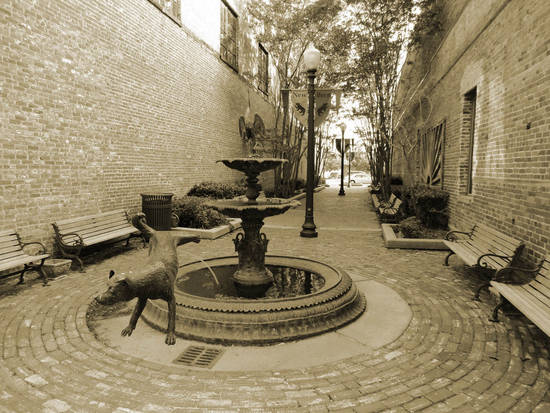 Dog and Fountain