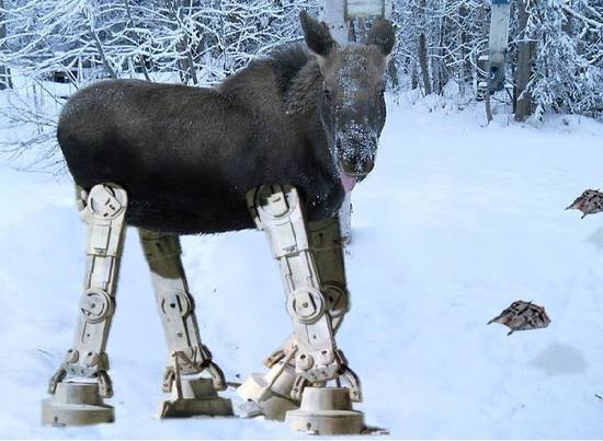 Hoth Moose