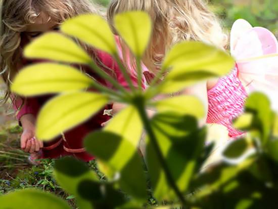 Gathering Flowers