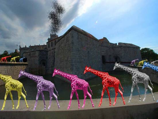 Giraffe color factory