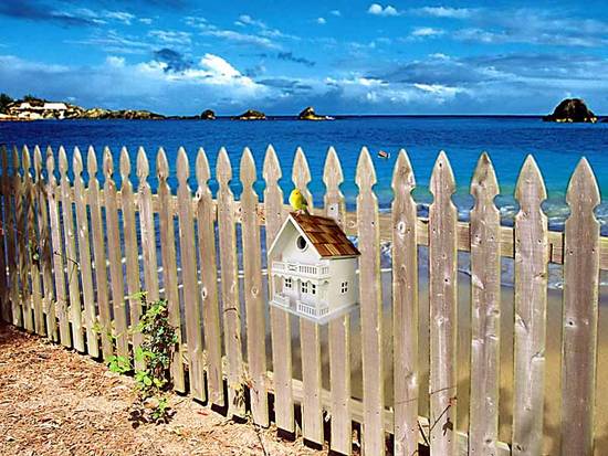 Birdhouse on the Beach