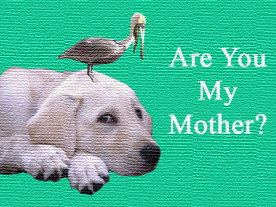 Are You My Mother?