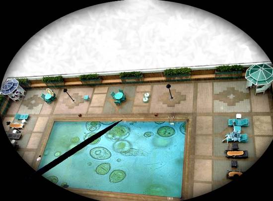 Paramecium Pool Party