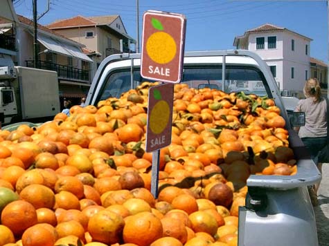 oranges for sale