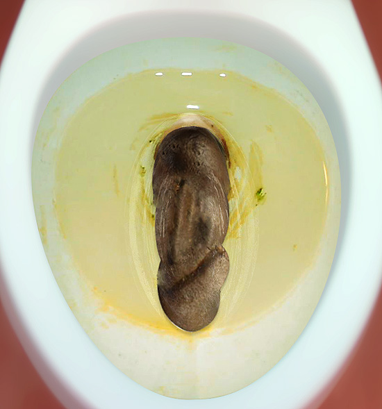 Coffee Turd