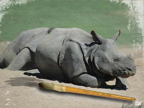 rhino painting