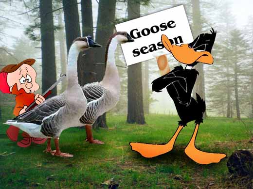 goose season