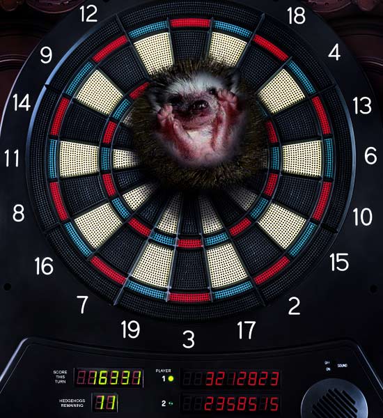 Hedgehog Darts.