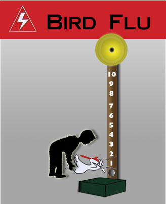 Bird Flu