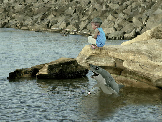 Fishing For Lunch