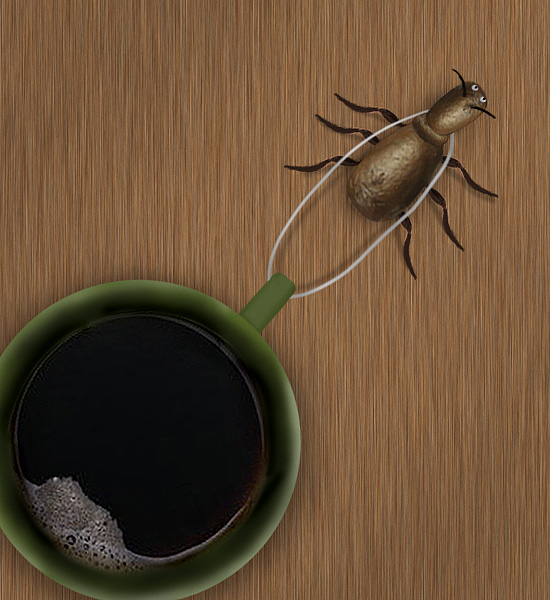 Coffee Bug