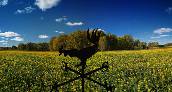 Weathervane