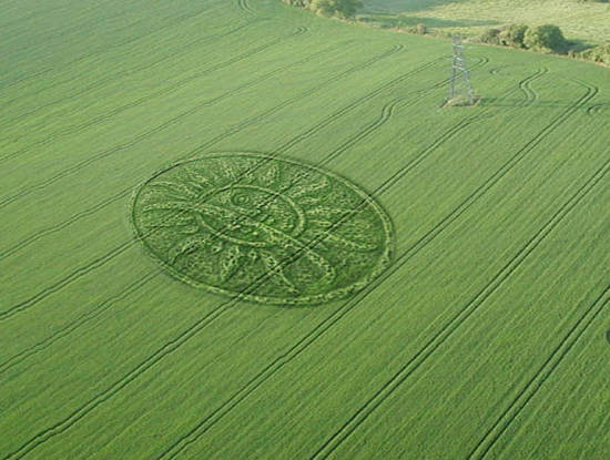 Crop Circle Carvings