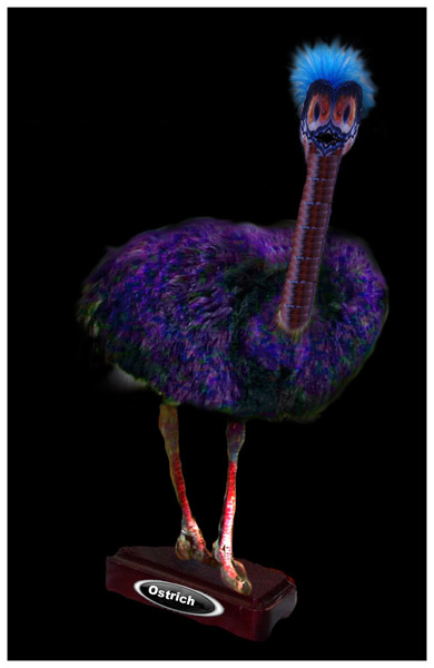 Ostrich