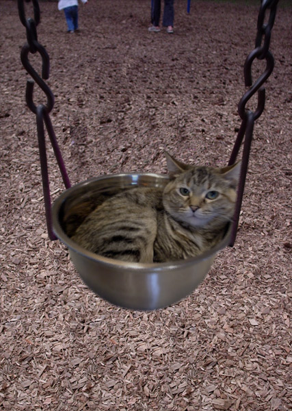 Swinging Pussy