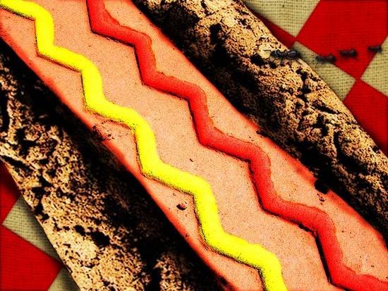 Sandy Hotdog