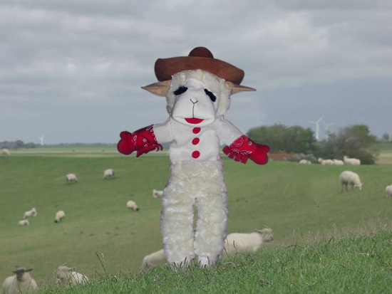 Lambchop Cowboy