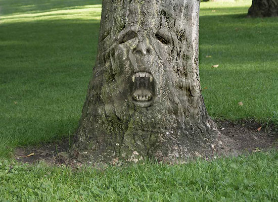 Tree Spirit