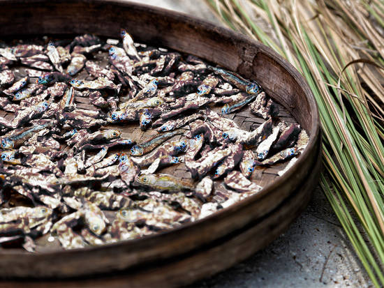 Little Dried Fish