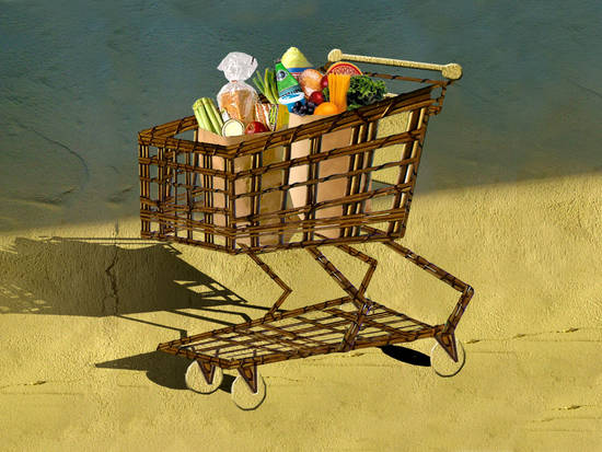 Grocery Cart