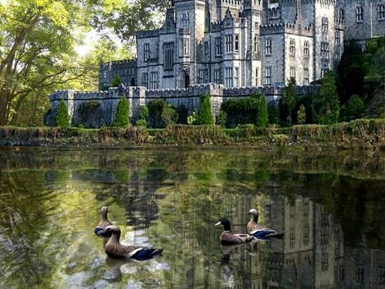 Castle by the river