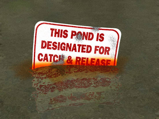 Catch and Release Sign