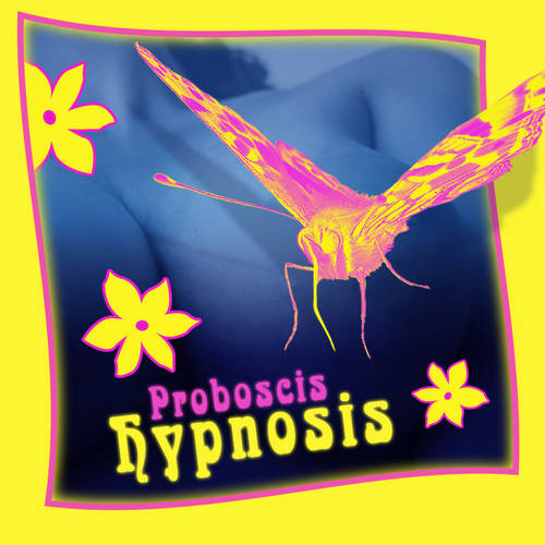 Proboscis Hypnosis 