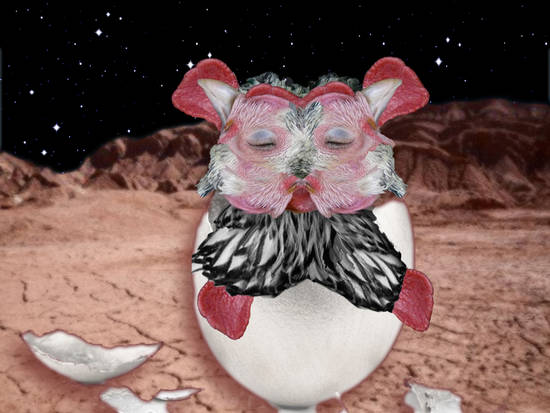 Moon Chicken