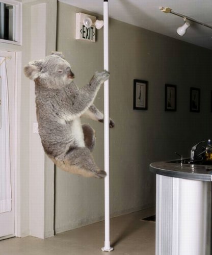 Pole Dancing