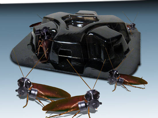 Smart Roaches!