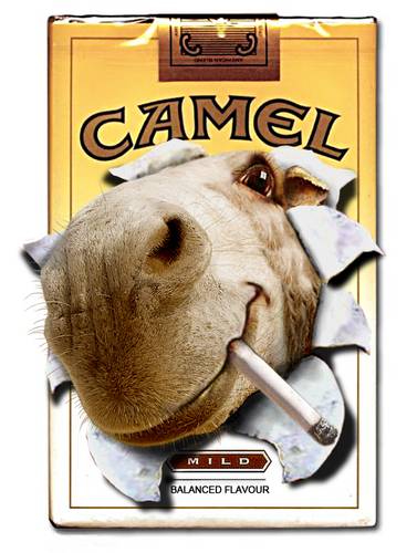 JOE CAMEL