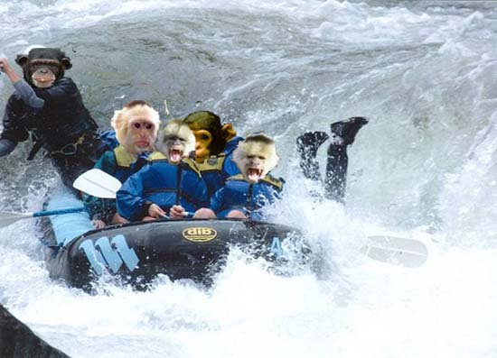 Monkies Rafting