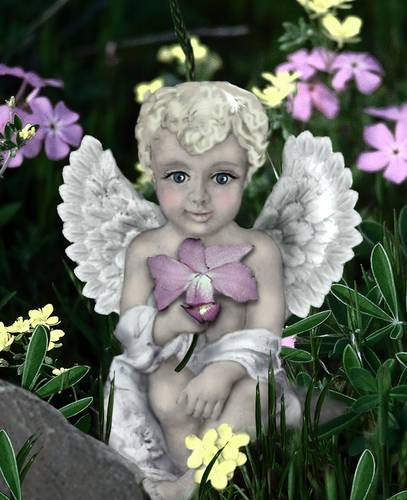 ~ Cherubim ~