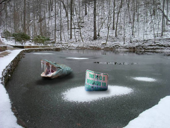 Frozen Pond