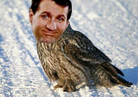 Owl Bundy