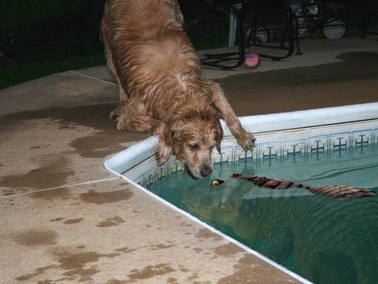 That is NOT the ball!!!