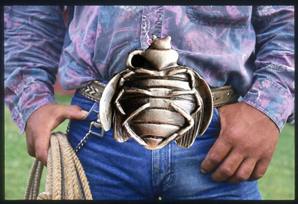 Bug Buckle