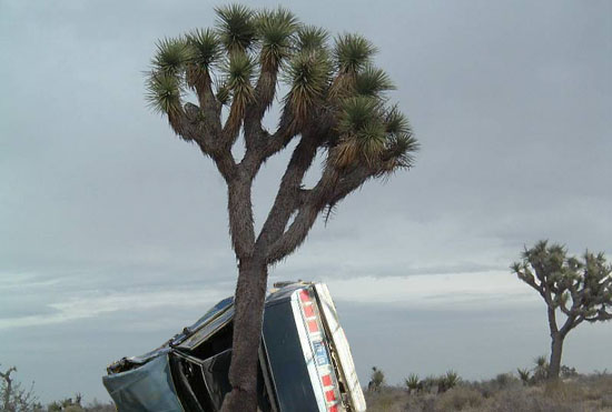 Crashed Car