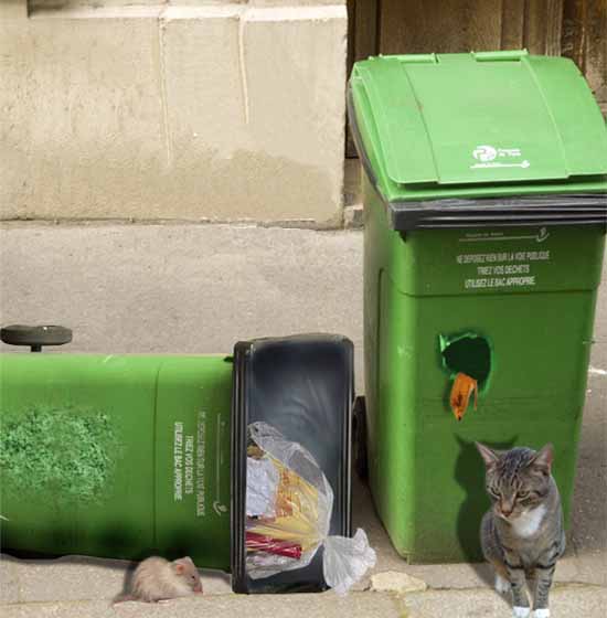 BIN