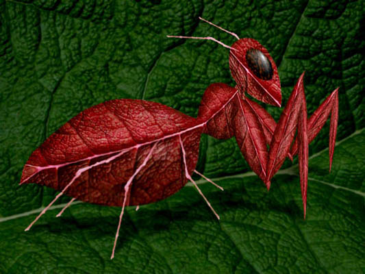 Red Bug