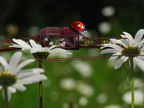 Aphid bridge