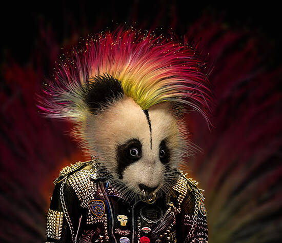 Punk Panda