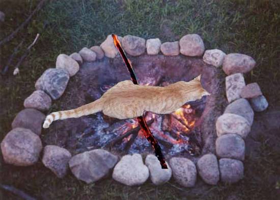 Roasted Kitty:)