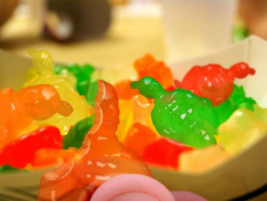 Gummy Warriors