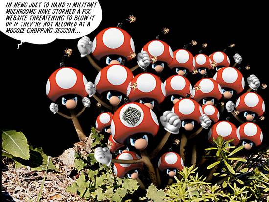 MUJAHIDEEN MUSHROOMS