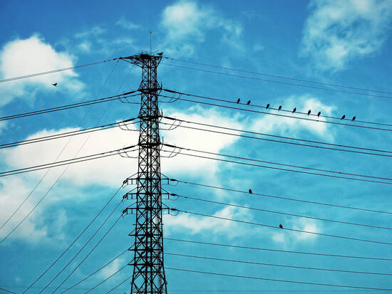 Birds On A Wire