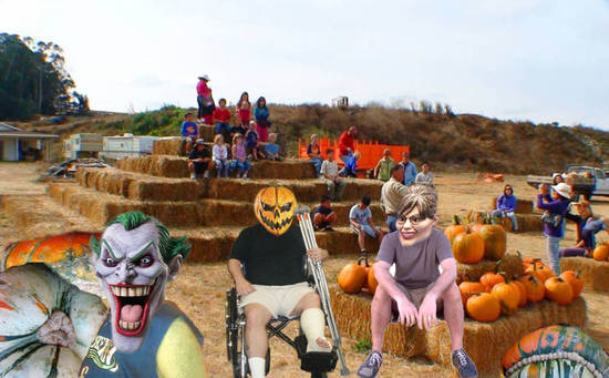 Pumpkin Patch